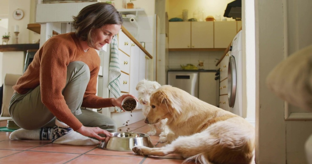 Owner feeding two dogs in the kitchen, demonstrating mealtime routines and managing food portions in multi-dog households.