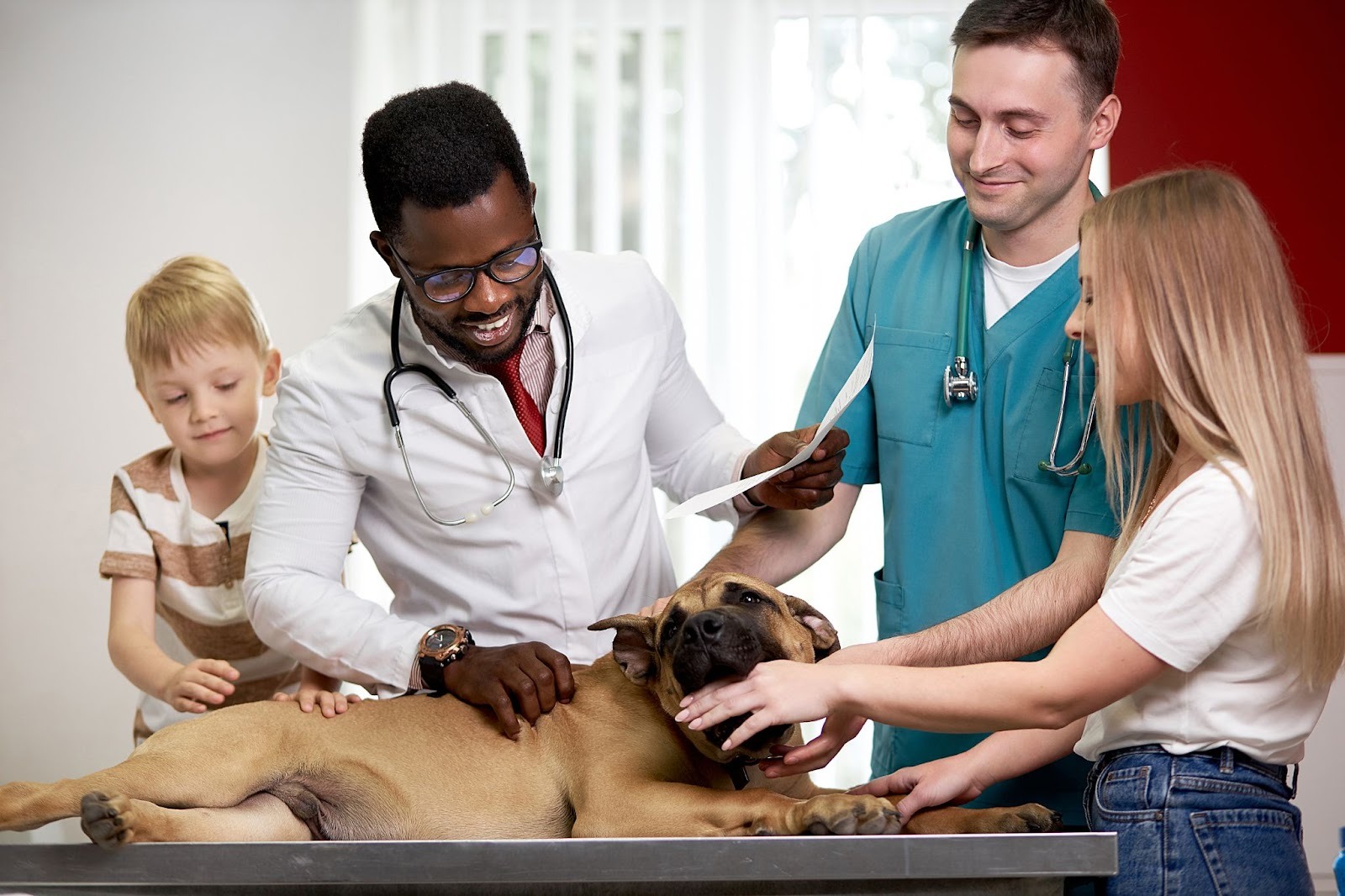 Puppy being gently examined by a veterinarian with owner nearby