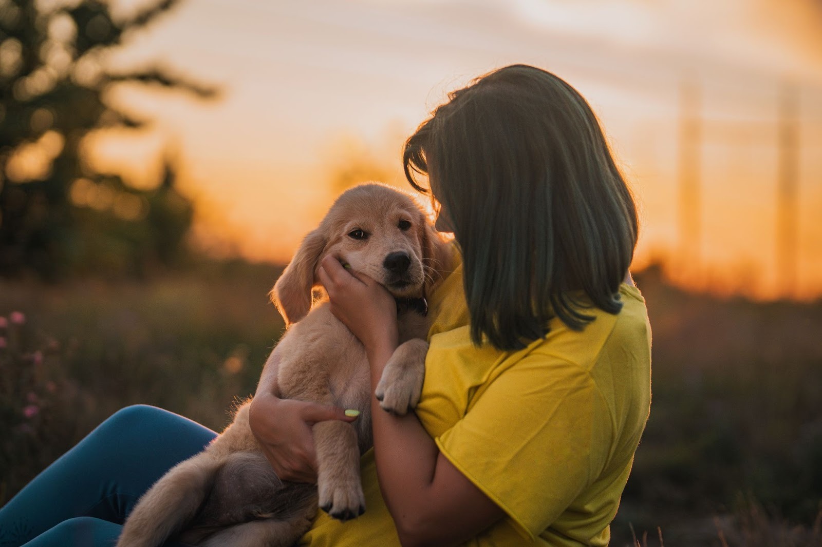 Woman in a yellow shirt holding a golden retriever puppy outdoors at sunset, sitting in a grassy field.