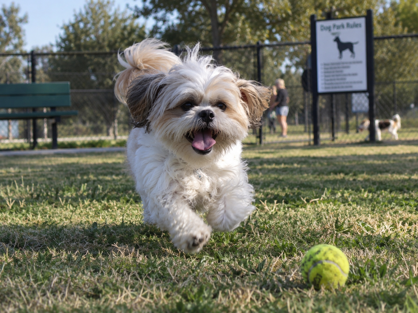 Breed image 2