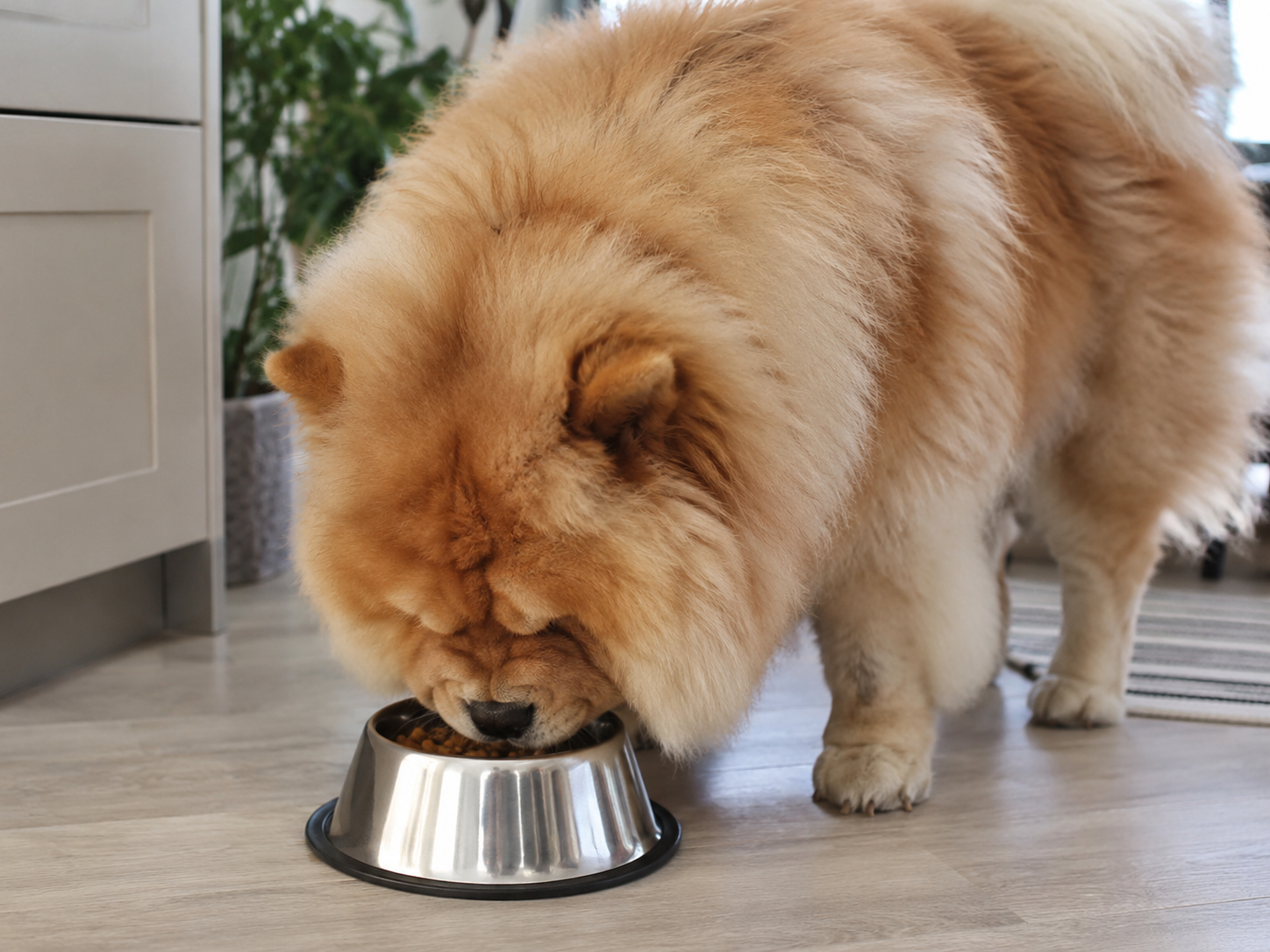 Breed image 2