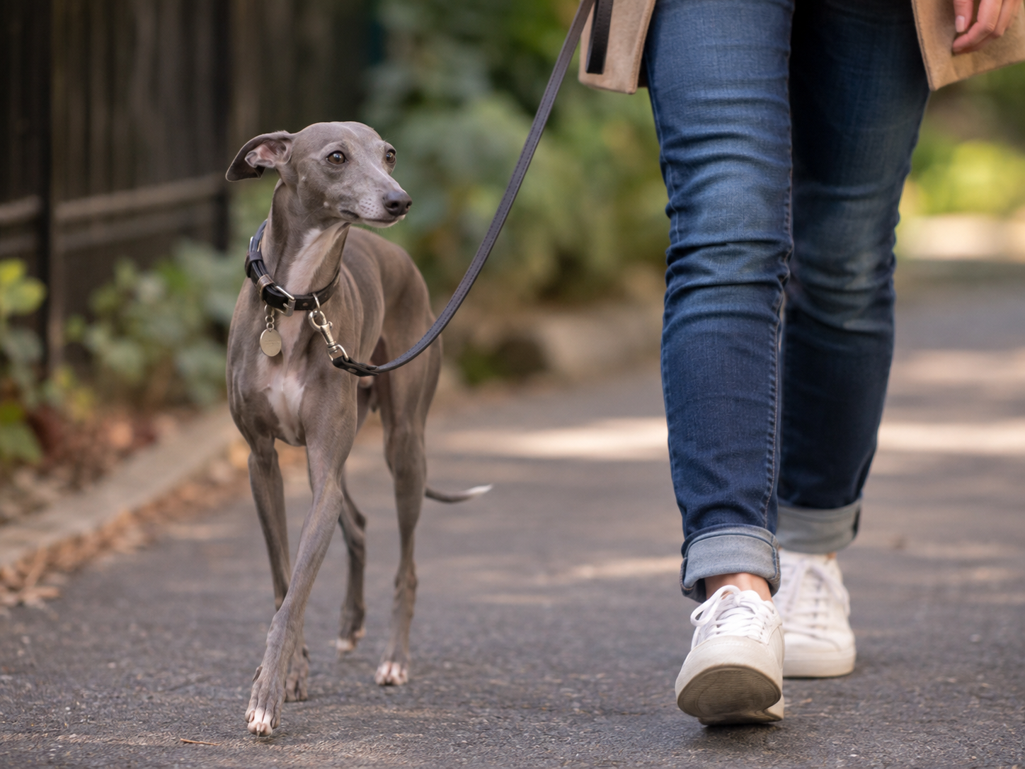 Breed image 3