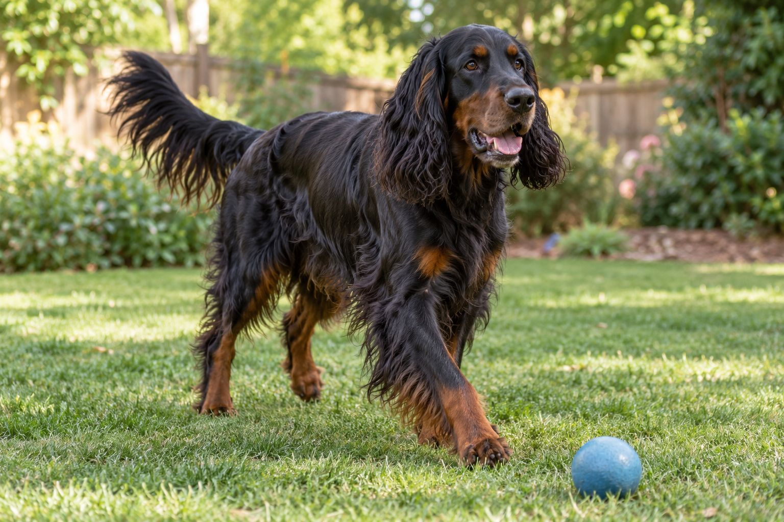 Breed image 5