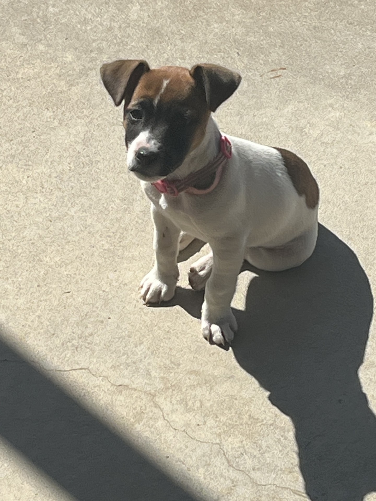 Mother — TILLY