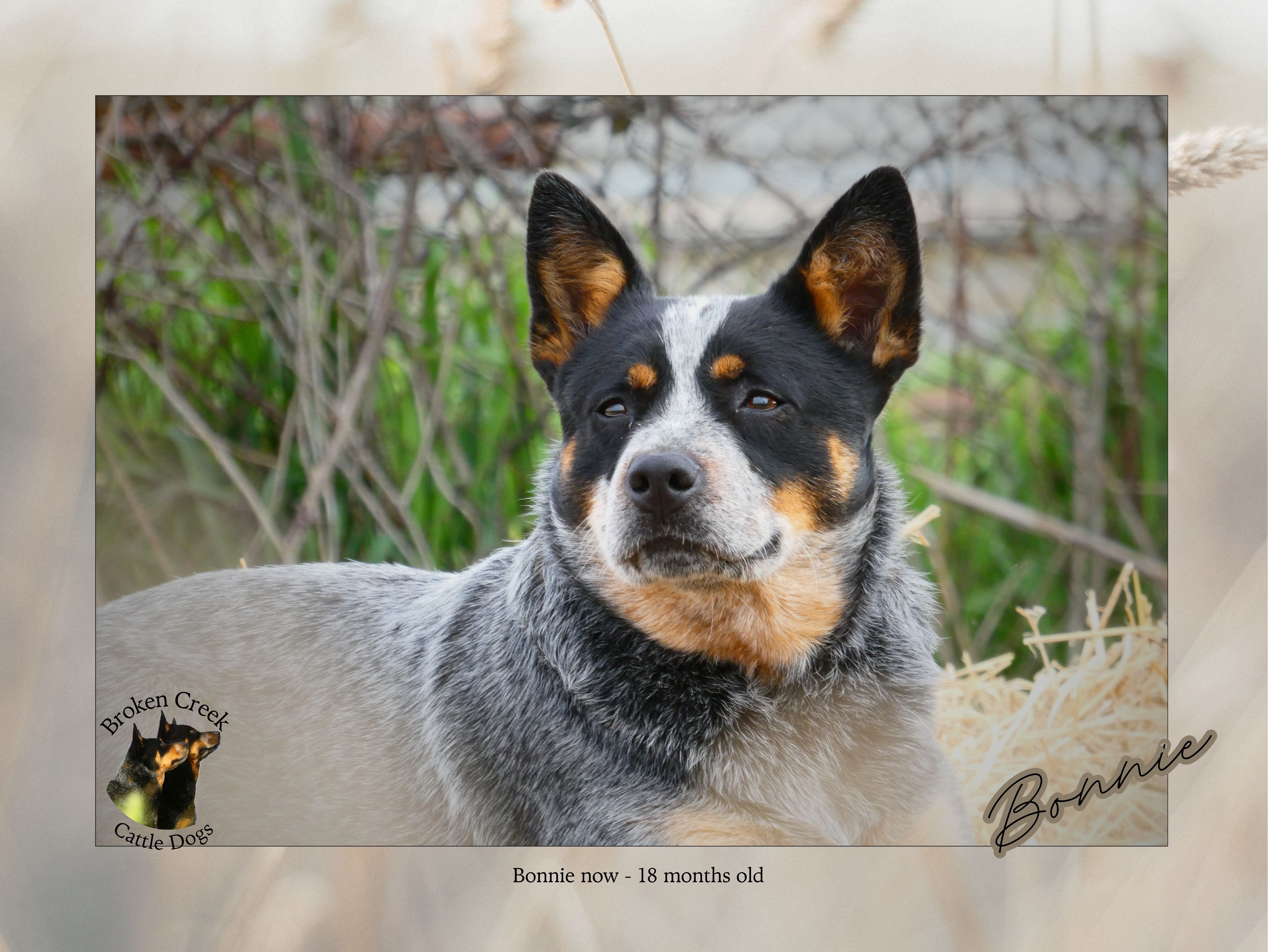 Mother — Bonnie — photo 2 of 3