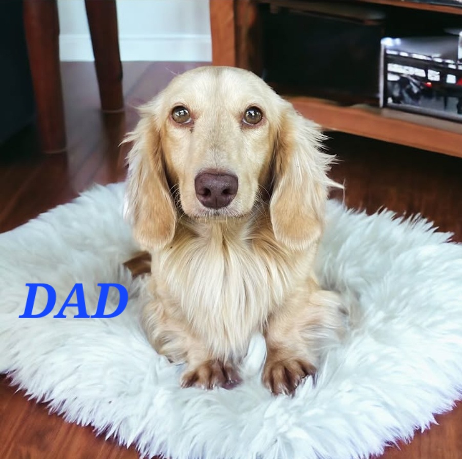 Father — Swinter