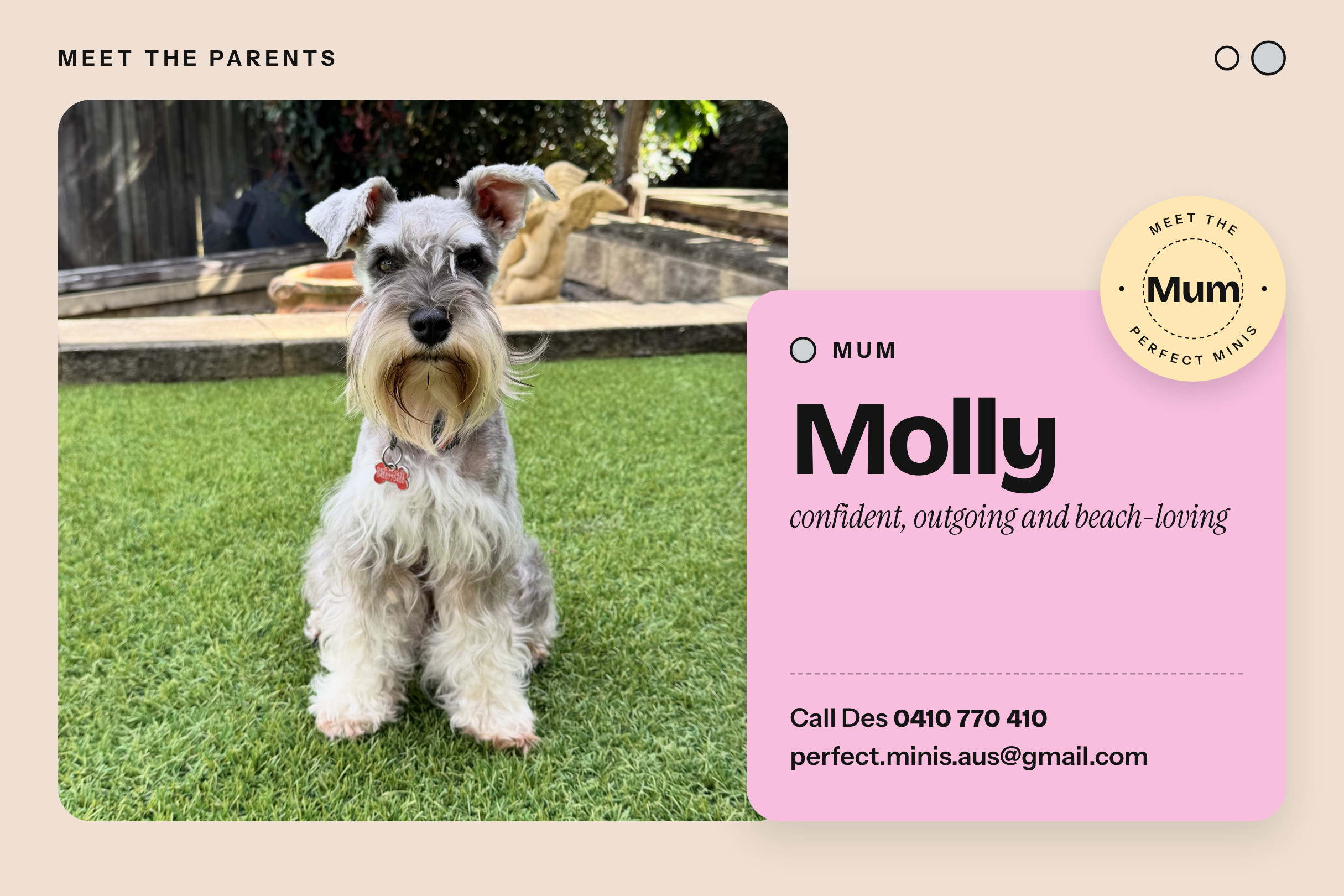 Mother β Molly